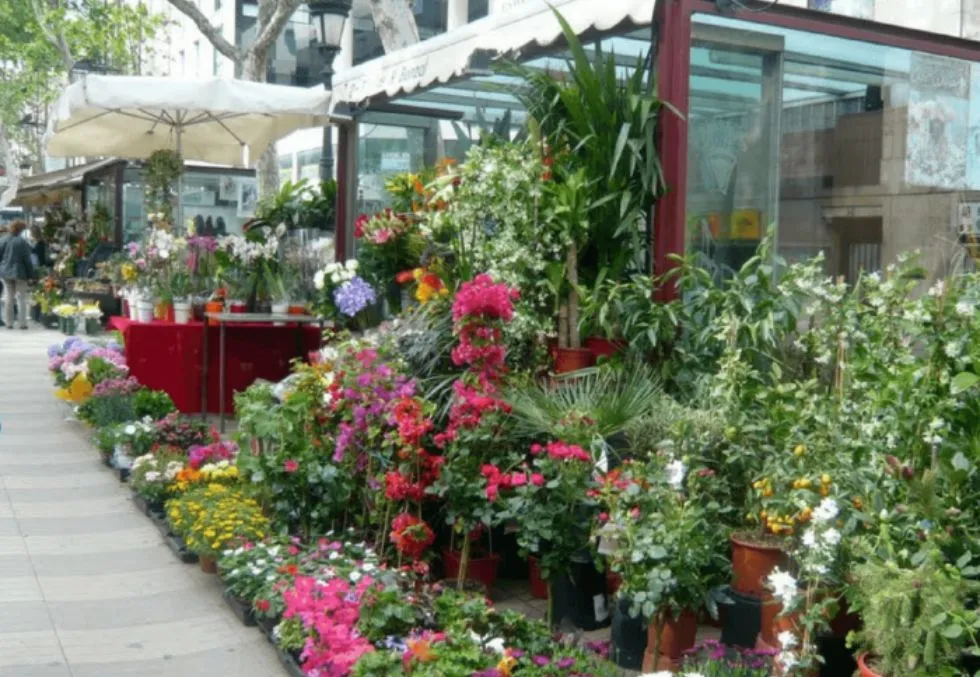 Flores en La Rambla